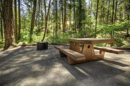 Picnic table and fire pit in a campsitePGE operates the campground in partnership with the US Forest Service