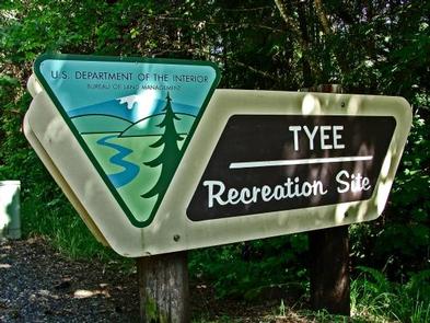 Tyee Campground SignView of Tyee Recreation Site sign.