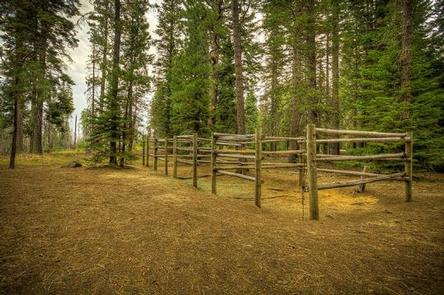 Whispering Pines Horse Camp