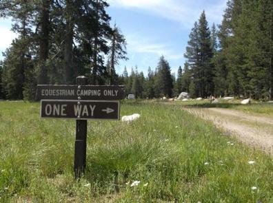 Preview photo of Wrights Lake Equestrian Campground