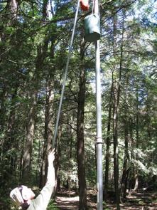 Channel Marker Campsite - Bear PoleBear Pole located at the Channel Marker campsite.