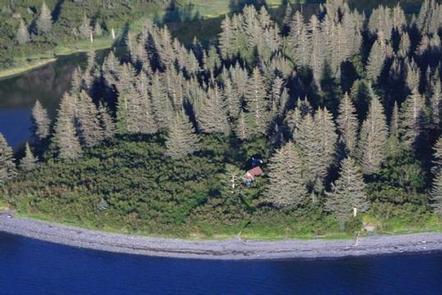Aerial View of  cabinAn aerial view of Aialik cabin surrounded by spruce trees