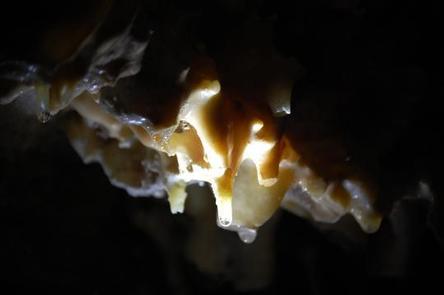 Ceiling formations in Lehman Caves, including soda straws with water drops suspended.Speleothems on the ceiling on Lehman Caves