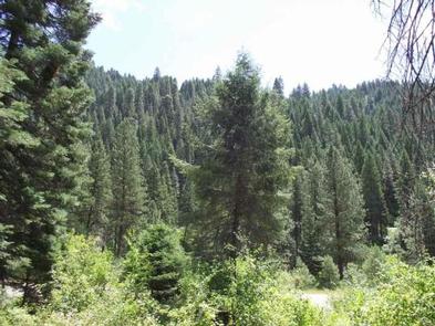 COLD SPRINGS CAMPGROUND - BOISE NF