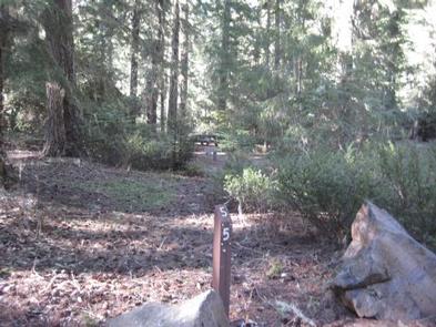 NORTH FORK CAMPGROUND (OR)