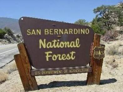 San Bernardino National Forest Sign