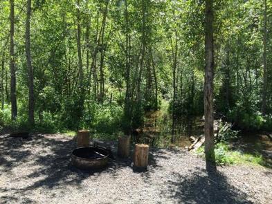 Firepit and CreekCreek and firepit in the backyard