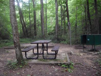 Rock Creek Campground (TN)Picnic table sitting on tent pad with a food storage locker nearby.