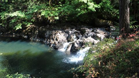 Cavitt Creek Falls