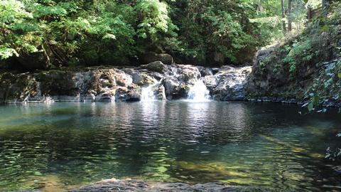 Cavitt Creek Falls