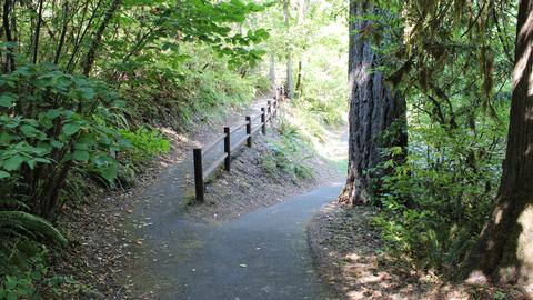 Cavitt Creek trail