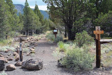 South Steens Campground