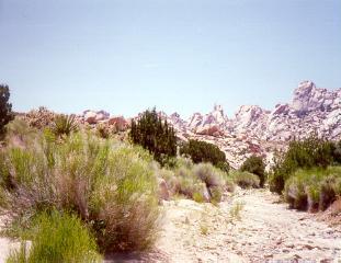 Preview photo of Bristol Mountains Wilderness