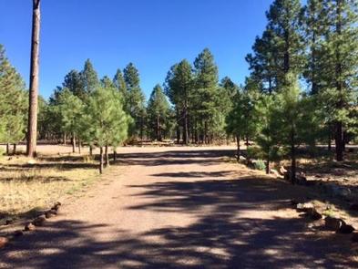 Rim Campground, Apache-Sitgreaves National Forest - Recreation.gov