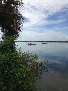 Guided Mosquito Lagoon Canoe Tour in the Apollo District
