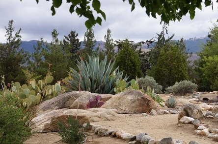 Desert GardenA desert garden features plants found in Yuma, Arizona, where Cйsar E. Chбvez was born.