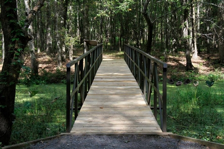 Arkansas Post National MonumentThe Alligator Slough footbridge