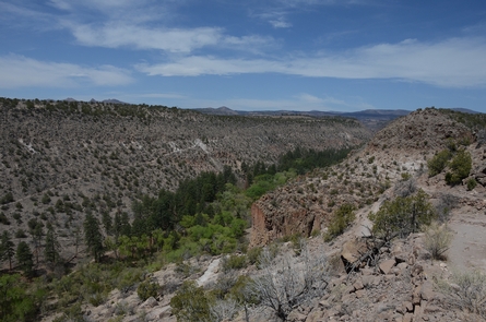 Frijoles CanyonA view of Frijoles Canyon from the Frey Trail