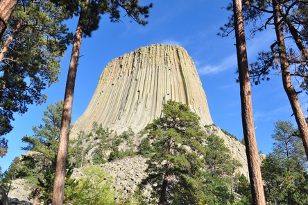 Devils Tower looming above the trees
