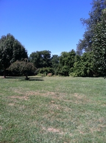 Preview photo of Fort Dupont Park