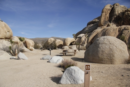 Campsite at BelleThere are 18 sites at Belle Campground. Campsites are surrounded by large boulders.