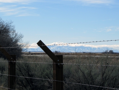 View Across the Barbed Wire
