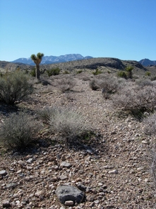 Old Spanish Trail segment, NevadaThis trail segment is 5.25 miles, and is part of the Old Spanish Trail/Mormon Road Historic District, outside Blue Diamond, Clark County, Nevada.