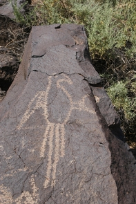 Macaw petroglyph