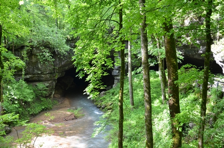 Russell Cave in Spring