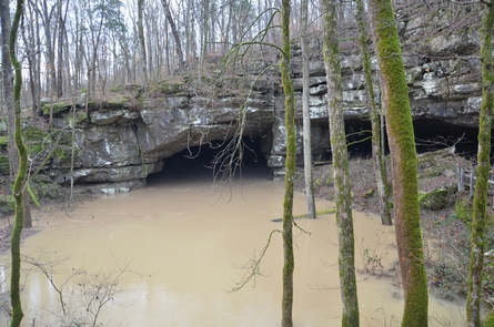 Winter flood in December 201514,000 acres drain into Russell Cave