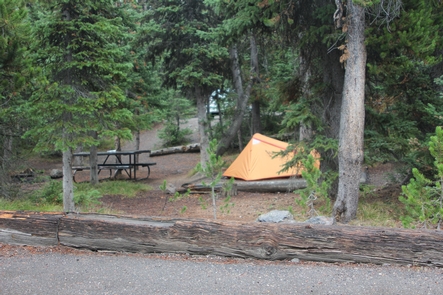 Lewis Lake Campground