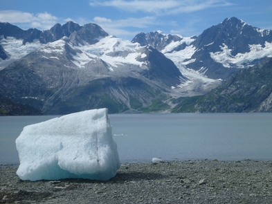 Iceberg on the shoreIcebergs, calved from tidewater glaciers are a common sight in Glacier Bay National Park.
