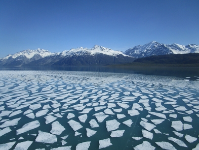 Pan ice in Tarr InletGlacier Bay offers a rare glimpse into the Ice Age