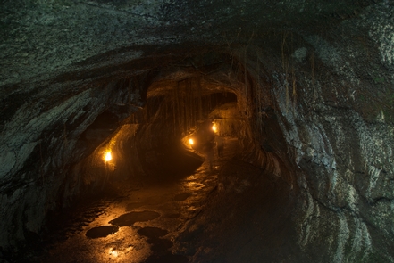 NāhukuNāhuku, also known as Thurston Lava Tube is a very popular stop. Come early to beat the crowds.