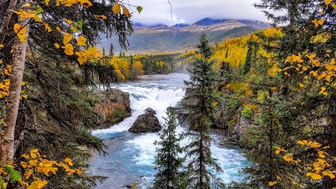 Tanalian FallsThe park protects thousands of waterfalls including Tanalian Falls, which is a popular day hike destination from the town of Port Alsworth.