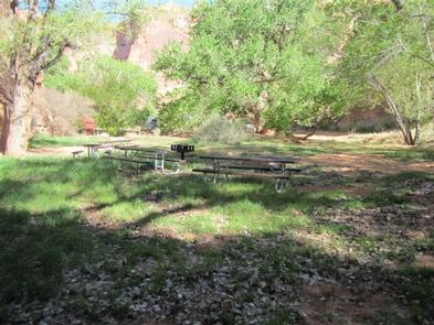 Moonflower Canyon Group Site (2)