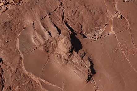 Fossil Footprint at Prehistoric Trackways National Monument