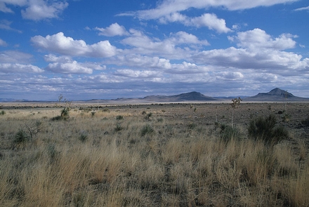Lake Valley Backcountry BywayDistant view of low mountains with desert grasses and other vegetation in the foreground.
