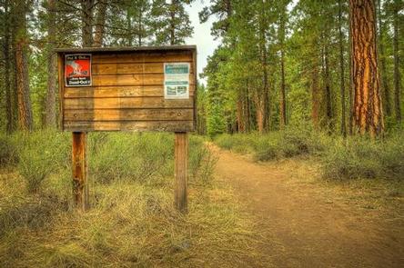 Preview photo of Riverside Campground (Deschutes National Forest, OR)