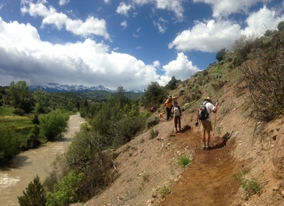 Ridgway Trails