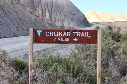 Chukar Trail 