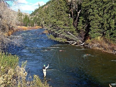 Eagle River Fishing 