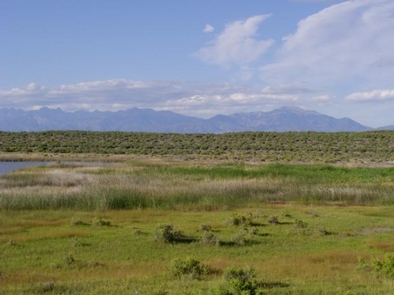 Blanca Wetlands 