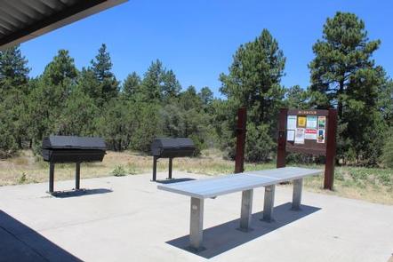 TIMBER CAMP RECREATION AREA and GROUP CAMPGROUNDSGrills and tables adjacent to group ramada at Timber Camp Equestrian