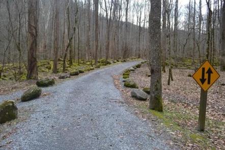 BIG CREEK rd.Narrow, unpaved road to reach campground