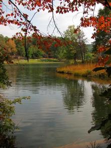 LAKE RUSSELL RECREATION AREA