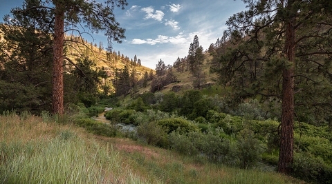 South Fork John Day Wild and Scenic River