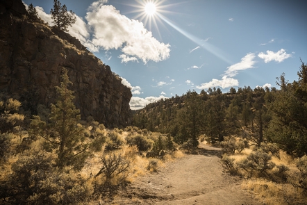 Dry River Canyon Trail