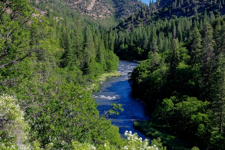 Upper Klamath Wild and Scenic RiverBankfull Upper Klamath Wild and Scenic River