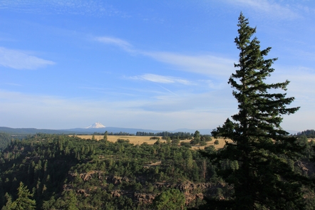 White Wild and Scenic RiverCanyon’s edge with view of Mt. Hood